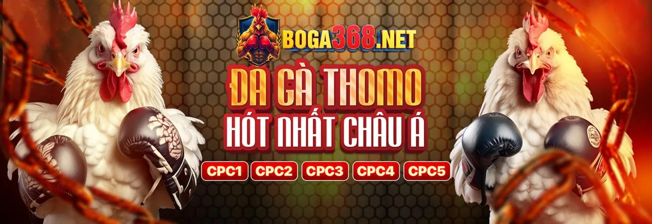 Lý do nên chọn c168 casino với các chương trình khuyến mãi