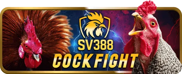 Hỗ trợ đại lý chuyên nghiệp c168 casino